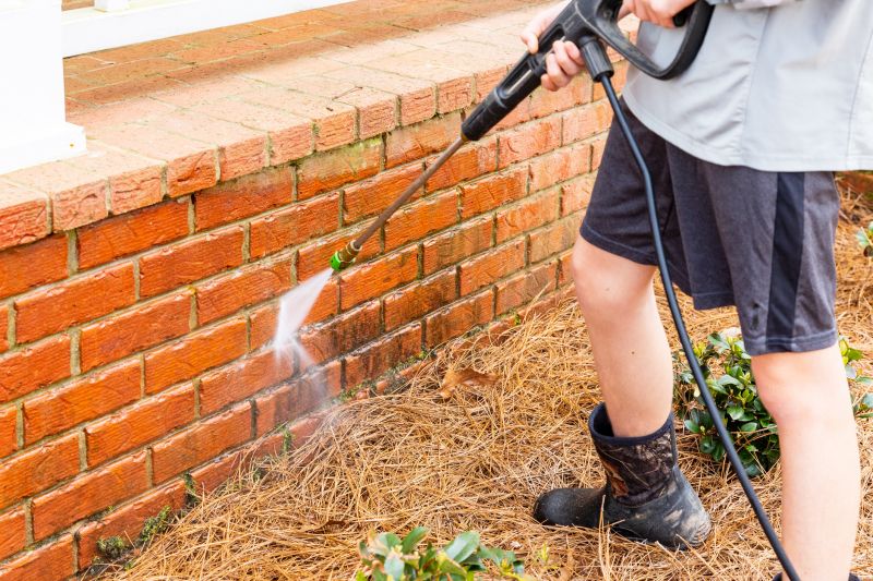 Brick Home Exterior Cleaning detail